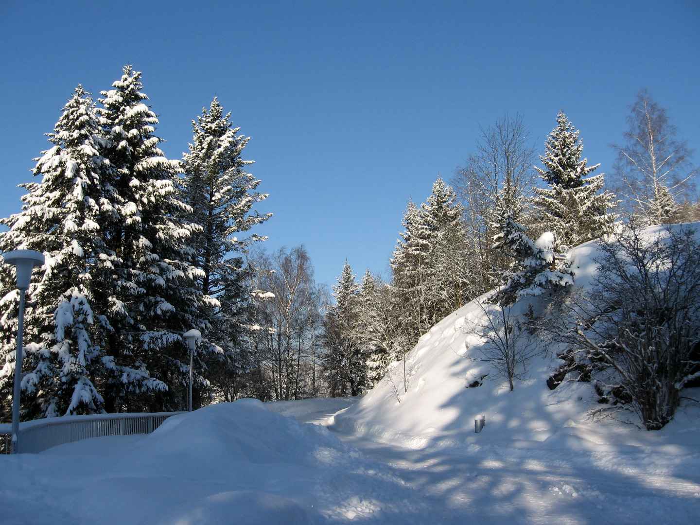 Herrlicher Wintertag