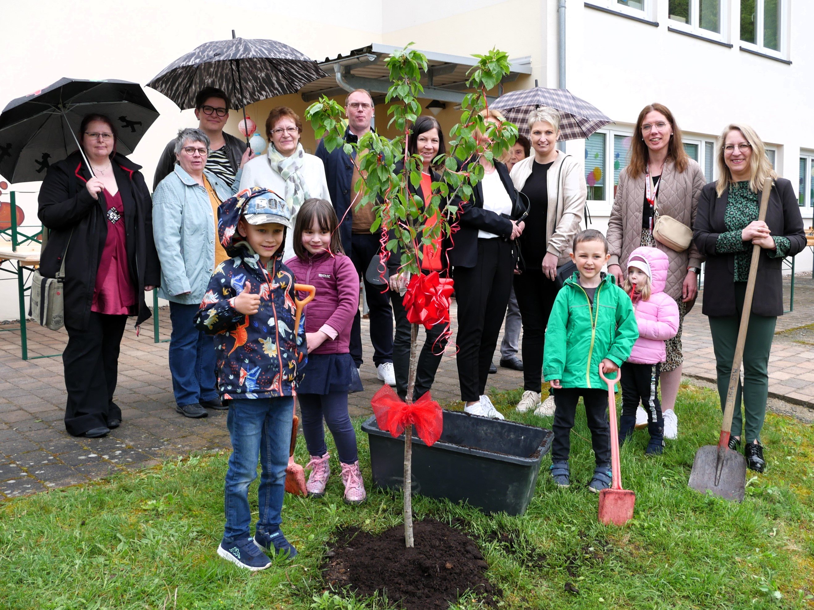 Fertig – der kleine Baum ist gepflanzt und kann nun groß und stark werden.