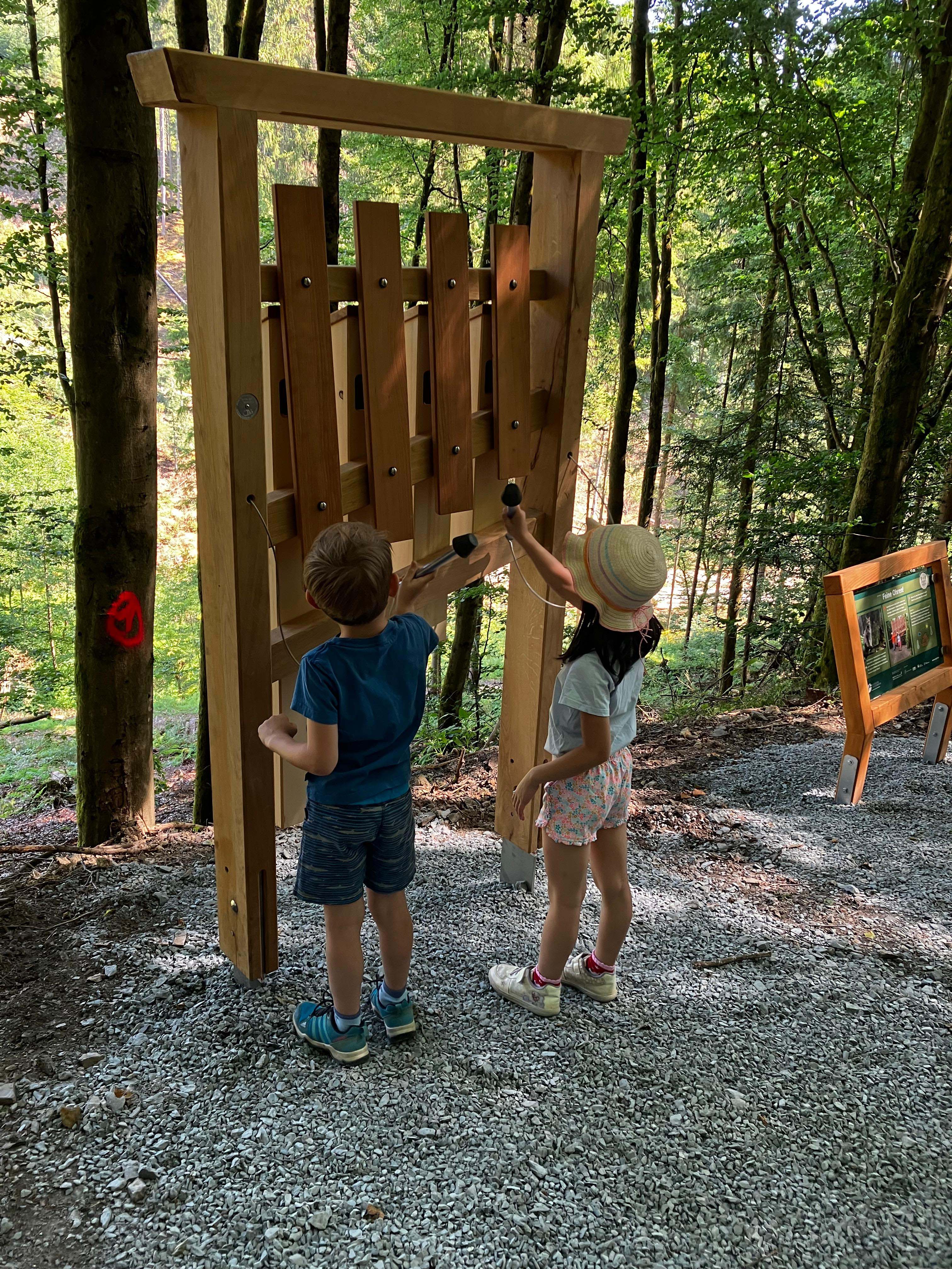 Die Kinder waren bei den verschiedenen Erlebnisstationen voll bei der Sache. (Foto: Naturpark Frankenwald) (1)