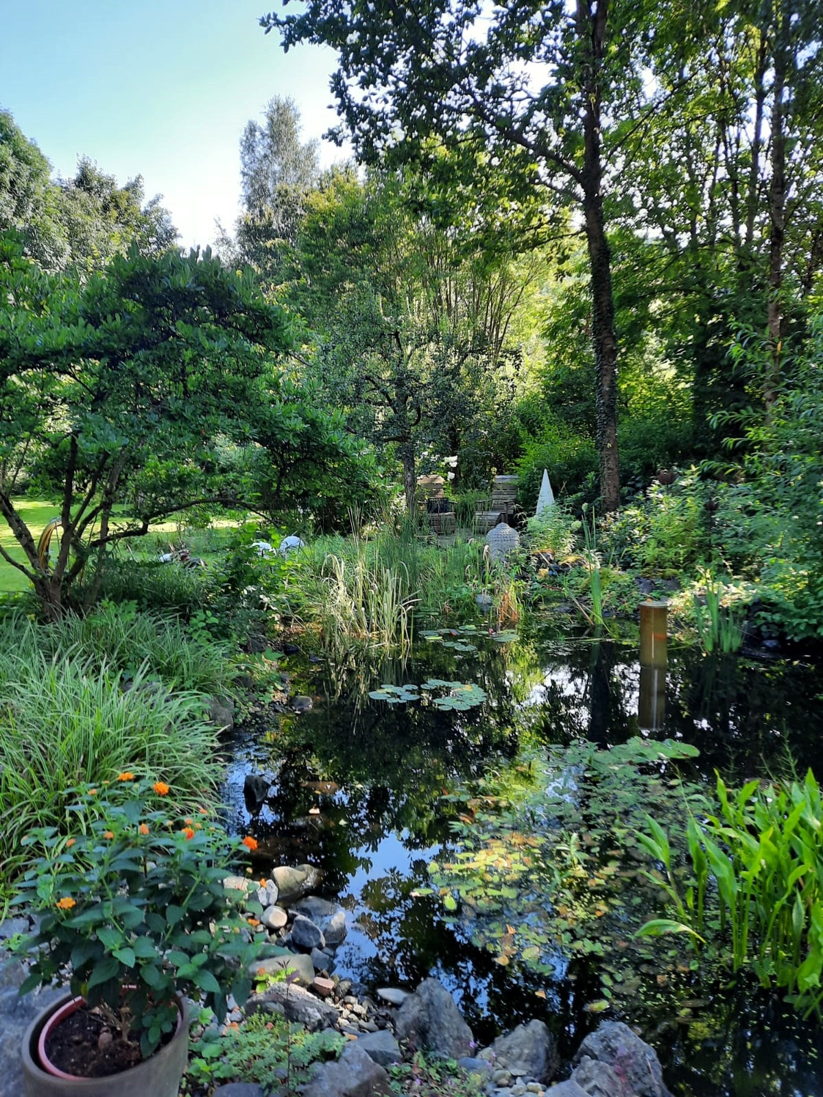 Es kommt auf die kleinen Details an – im Garten von Michael Klinger gibt es viel zu entdecken.