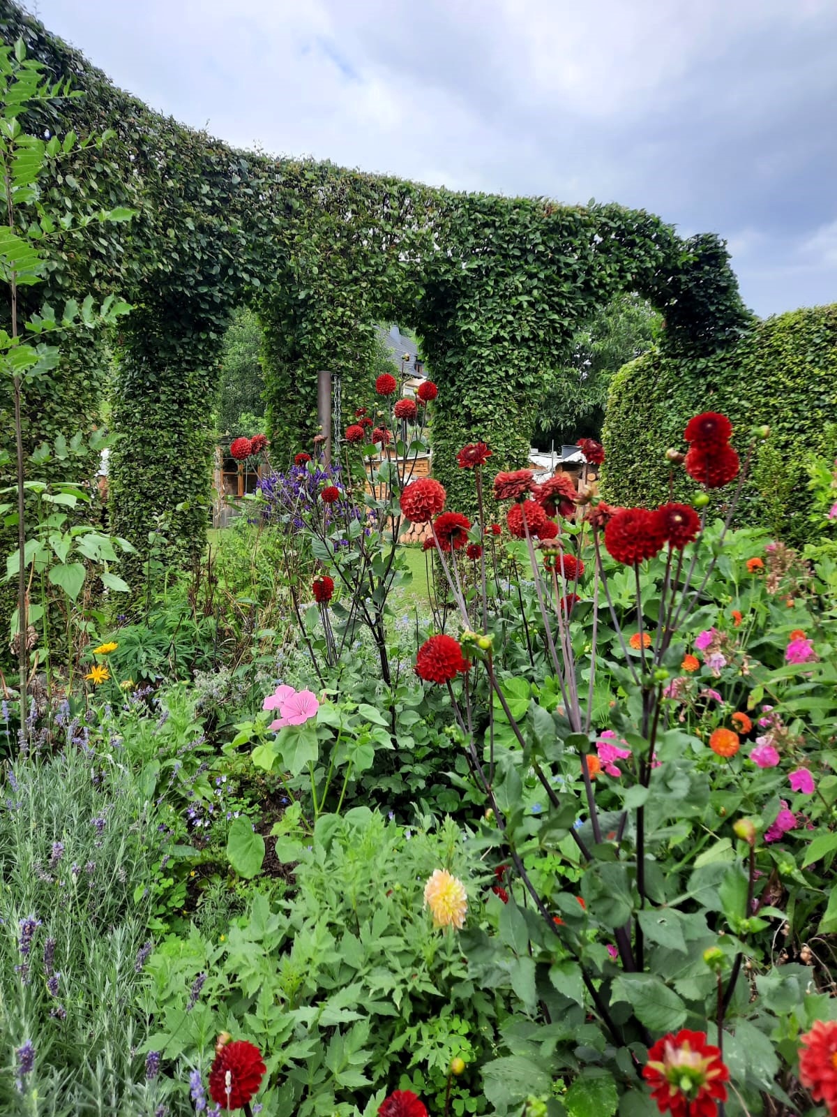 Farbenfroh und herrlich grün war es im Garten von Roland Simon.