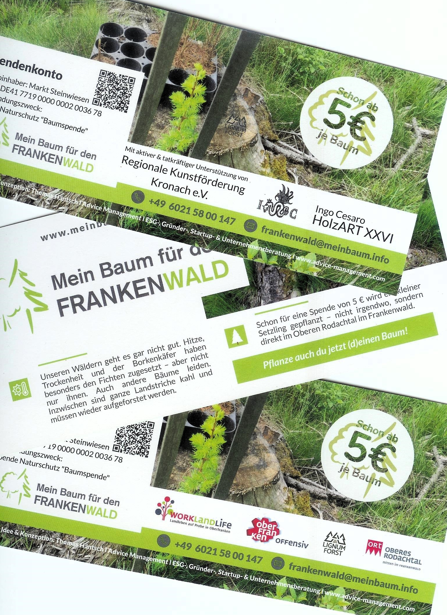 Flyer Baum für den Frankenwald